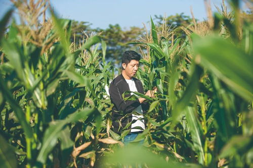 農(nóng)大夫妻的現(xiàn)實(shí)版“去有風(fēng)的地方” 用心打造屬于自己的農(nóng)產(chǎn)品夢(mèng)想