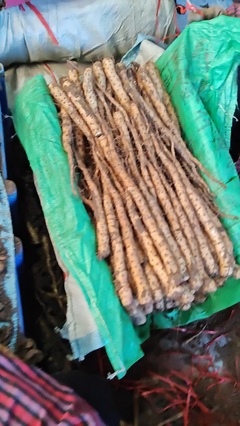 從鐵棍豆苗到江湖傳說 不會武功的郭大俠如何扎根農產品種植