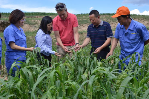 天鎮“新漁歌” 特色水產養殖開辟優質農產品出海新航道